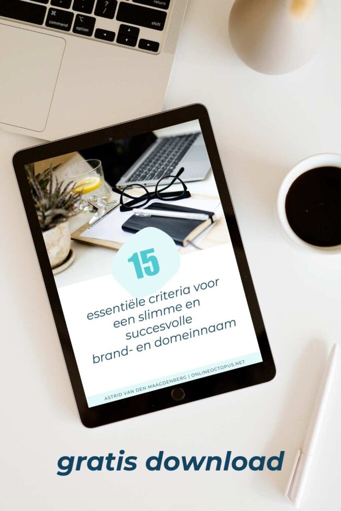 Essentiƫle criteria voor een slimme en succesvolle brand- en domeinnaam 2 Gratis gids met checklijst: hoe kies je je domeinnaam?