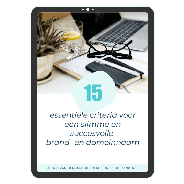Essentiƫle criteria voor een slimme en succesvolle brand- en domeinnaam 1 Mockup tablet 15 essentiele criteria domeinnaam