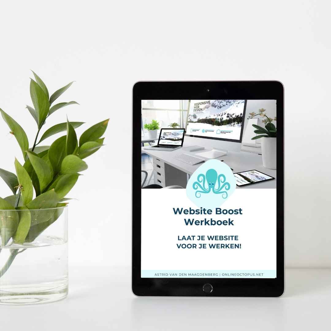Het website boost werkboek van Onlne Octopus laat je website voor je werken (1)